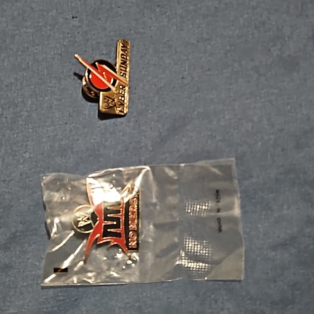 WWE Fan Pins
